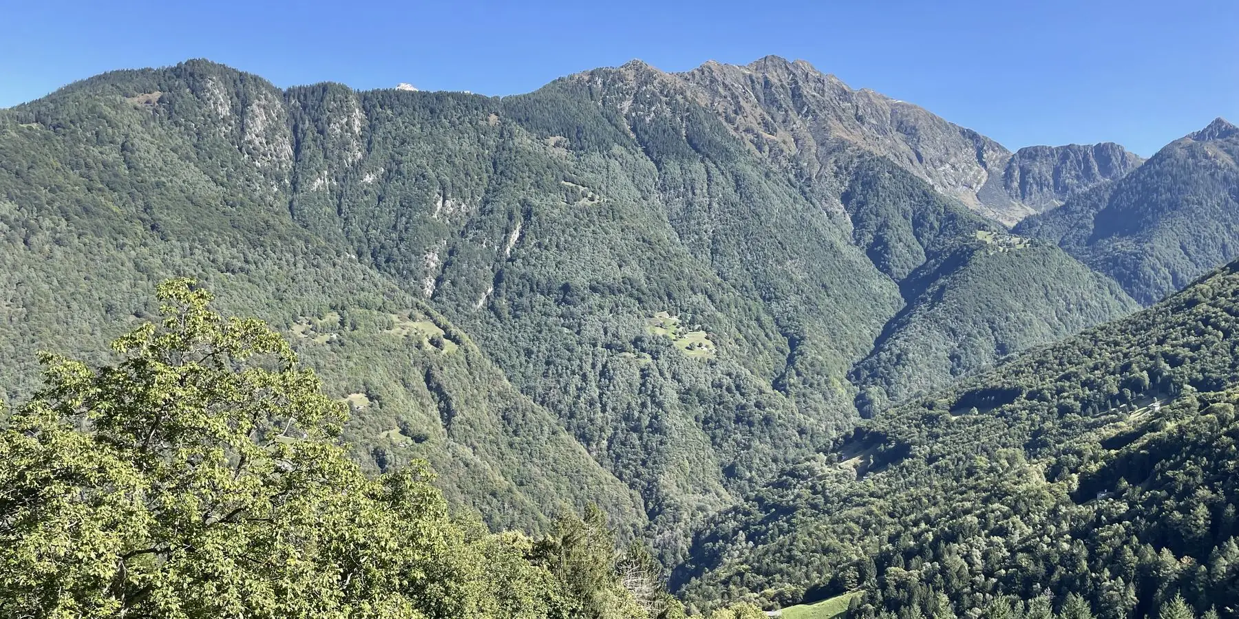 Blick vom Monte di Vif über die bewaldeten Berghänge des Misox