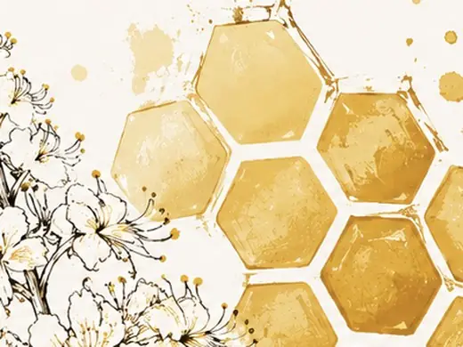 Goldene Honigwaben, Aquarell vom SelvaVIF-Etikett